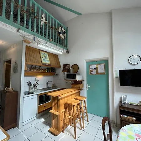 T2 Mezzanine Pour 4 Pers. Avec Jardinet, Proche Du A - Fr-1-379-72 *