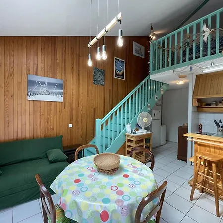 T2 Mezzanine Pour 4 Pers. Avec Jardinet, Proche Du A - Fr-1-379-72 Villa *